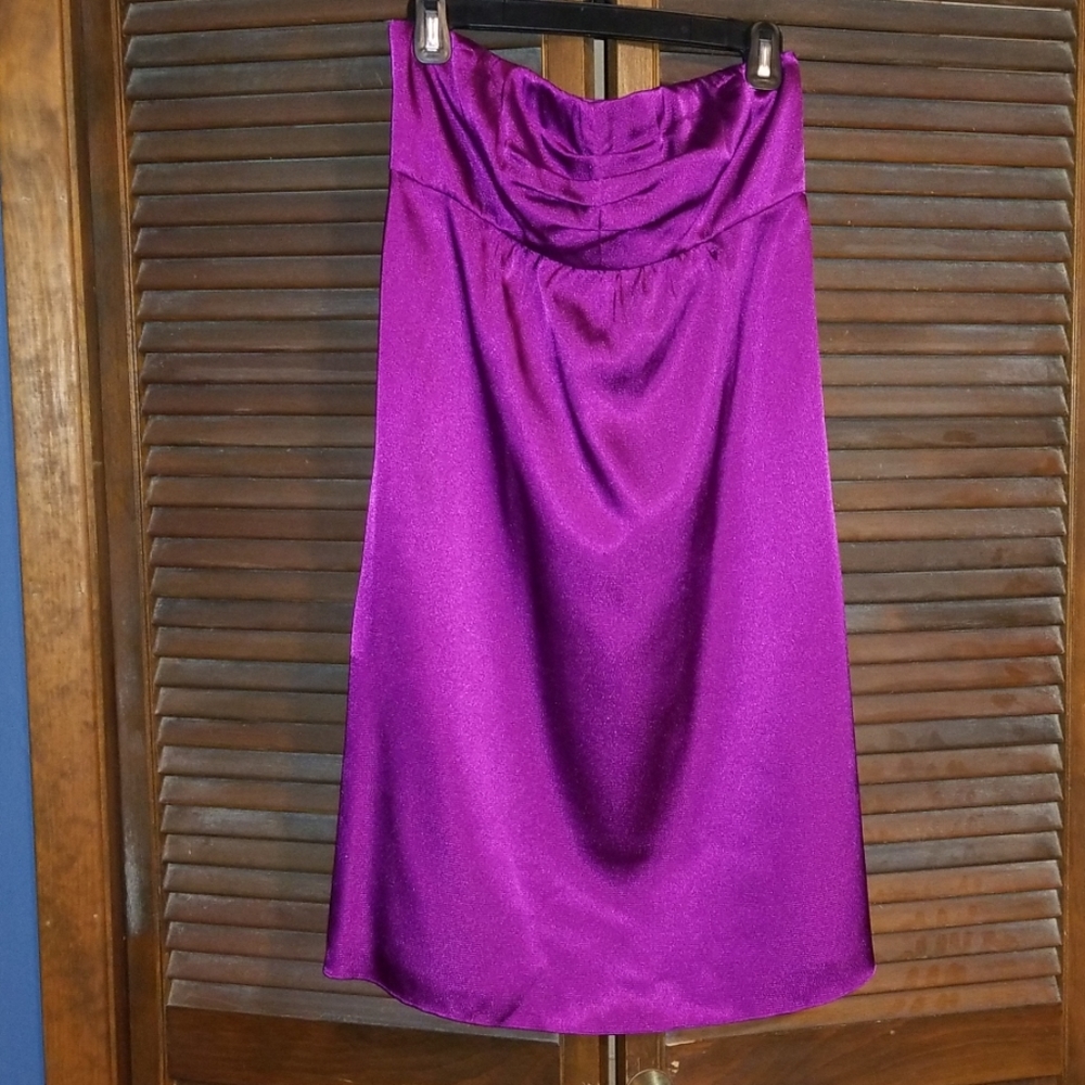 The Limited Strapless Dress Size 8